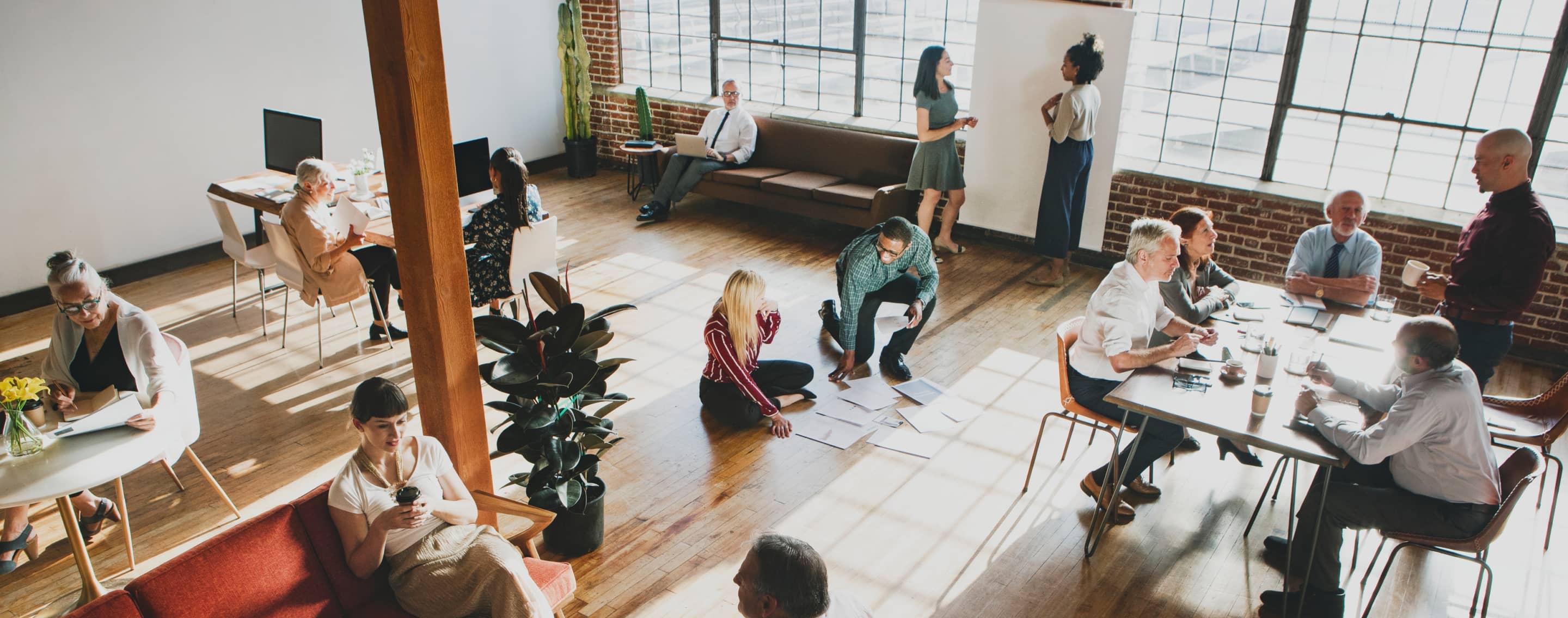 Ziba Group Capabilities